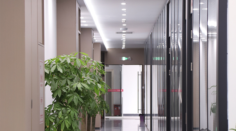 《濃情中秋，共話團(tuán)圓》